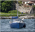 J5082 : Yacht 'Game Changer' at Bangor by Rossographer