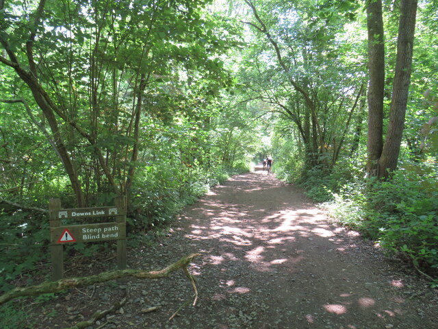 Downs Link, near Rudgwick