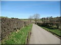 NY2535 : The Cumbria Way near Stockdale by Adrian Taylor