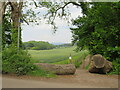 TQ1148 : National Cycle Network route 22 near Dorking by Malc McDonald