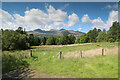 NN5832 : Field north of the South Loch Tay road by Andy Waddington