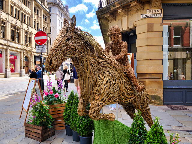 Manchester Flower Show Jubilee Trail#9, Horse Play