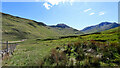 NN2928 : Plantation in the Glen below Cononish Gold Mine by Andy Waddington