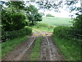 SO4874 : Bridleway from Lady Halton to Hill Halton by Christine Johnstone