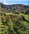 SO4394 : Carding Mill Valley on the Long Mynd by Mat Fascione