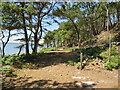 SZ0187 : Path on Brownsea Island by Malc McDonald