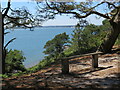 SZ0187 : Bench on Brownsea Island by Malc McDonald