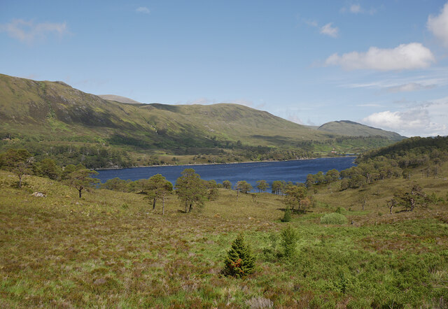 Woodland by Loch Affric