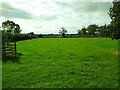 ST3350 : Field of  fresh grass  by Brent Knoll by Ant Basterfield