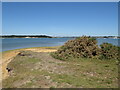 SZ0286 : Jerry's Point, Poole Harbour by Malc McDonald