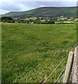 SO2930 : Hillside view from Llanveynoe, Herefordshire by Jaggery