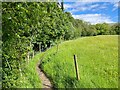 SD7186 : Path beside Deepdale Beck by Adrian Taylor