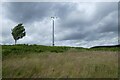 NU1223 : Wind turbine at Haughterslaw by DS Pugh