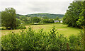 SO1420 : Field by Monmouthshire and Brecon Canal by Derek Harper