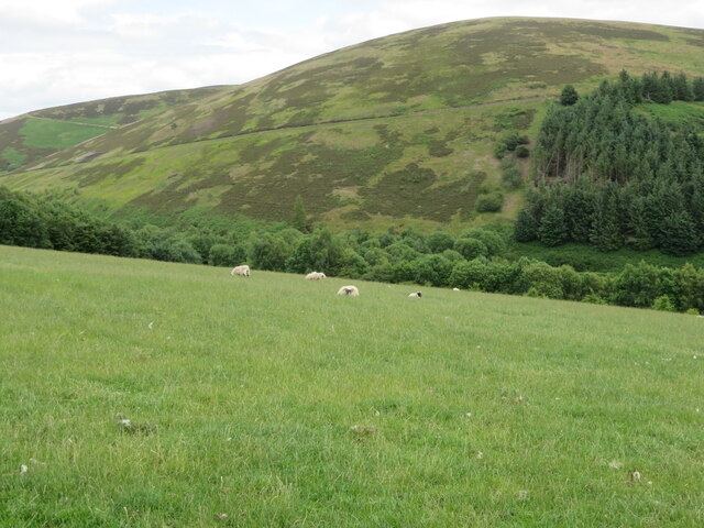 Dabshead Hill from Burncastle