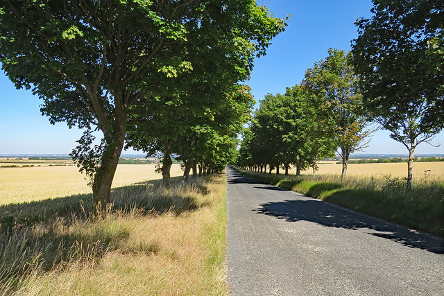 Tree-lined Fowlmere Road