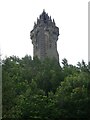 NS8095 : Looking up at the Wallace Monument by Rob Farrow