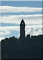 NS8095 : Wallace Monument Silhouette by Rob Farrow