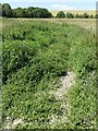 SU1068 : The Kennet below West Kennet Long Barrow by Alan Murray-Rust