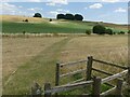 SU1168 : Footpath near West Kennet by Alan Murray-Rust