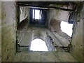 NS0567 : Bute - Ruins of St Colmac's Church - Looking up the tower by Rob Farrow