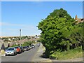 TQ3802 : Greenbank Avenue, Saltdean by Malc McDonald