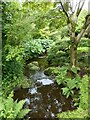 NS1059 : Bute - Mount Stuart - Stream through gardens  by Rob Farrow