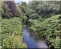 SO8375 : River Stour in Aggborough, Kidderminster by Mat Fascione