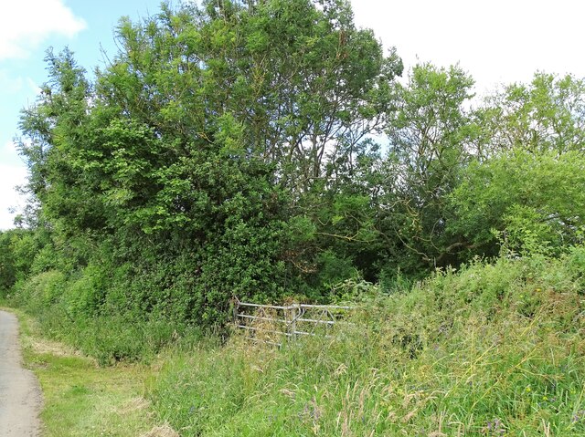 Roadside gateway on Kyo Lane