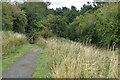 SJ7520 : Course of former Shrewsbury and Newport Canal by David Martin