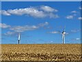 SE5007 : Wind turbines beyond a wheat field by Graham Hogg