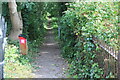 SO2100 : Path from High Street into Granny's Wood by M J Roscoe