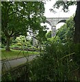 SW8161 : Newquay - Trenance Viaduct by Rob Farrow