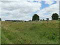 SU1070 : North-west quadrant of Avebury Henge by Stephen Craven