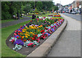 NT4936 : Flower beds in Galashiels by Jim Barton