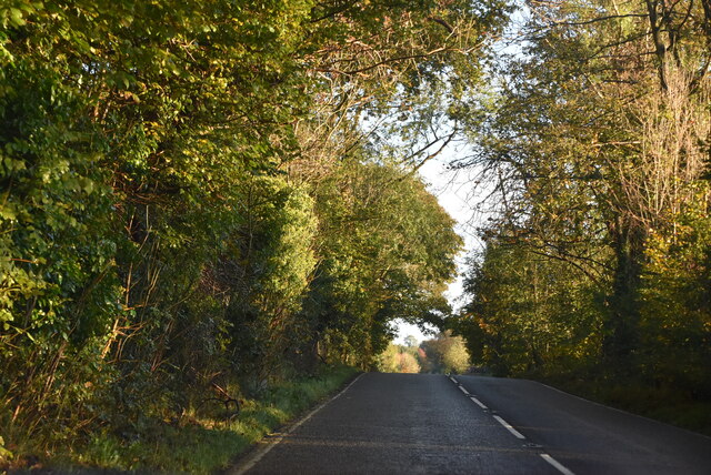 Killyleagh Rd