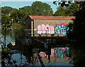 SX8061 : Graffiti, Totnes Weir by Derek Harper