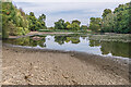 TQ2449 : Priory Pond - 2022 drought by Ian Capper