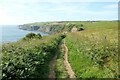 NZ9309 : The England Coast Path near Widdy Head by Jeff Buck