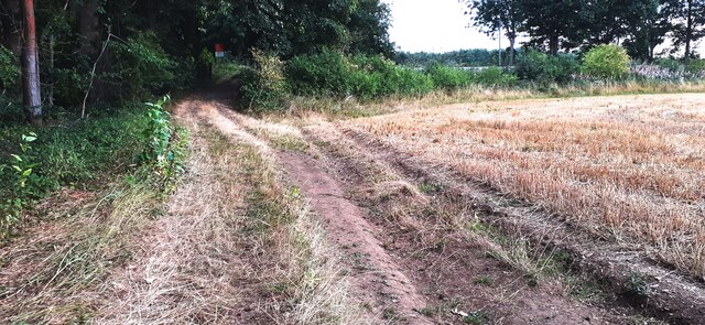 Farm track beside Paradise Wood approaching railway level crossing