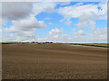 TL4641 : Big fields on the edge of Cambridgeshire by John Sutton