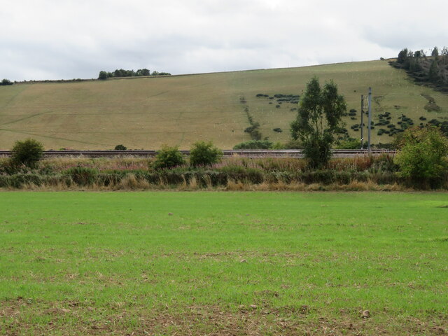 Grassland in the valley of the Eye Water