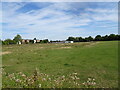 SO9695 : Great Bridge Playing Fields by Gordon Griffiths