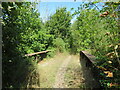 TQ4315 : Former railway route near Barcombe Cross by Malc McDonald