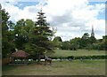 SU1429 : Salisbury - Cathedral and giraffe by Rob Farrow