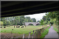 NT4832 : Old Tweed Bridge from the A7 bridge by Jim Barton