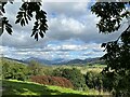 SD1096 : Eskdale near Muncaster Castle by Adrian Taylor