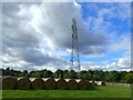 TQ5263 : Pylon at Castle Farm by Marathon