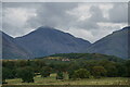 NY1203 : View in Wasdale by Peter Trimming