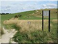 TL3340 : Therfield Heath, near Royston by Malc McDonald